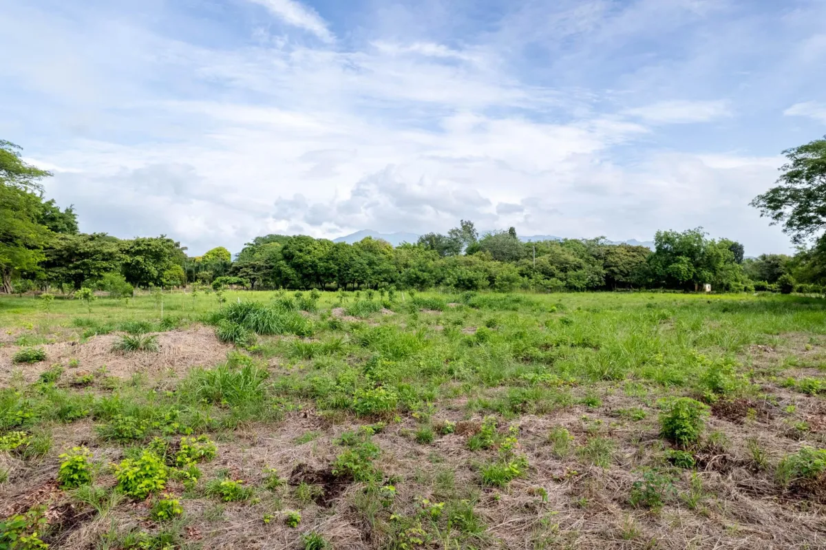 Perfect Homesite Lot For Sale in Bejuco Chame