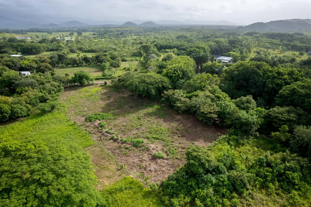 Prime Homesite Lot For Sale in Bejuco Chame Panama