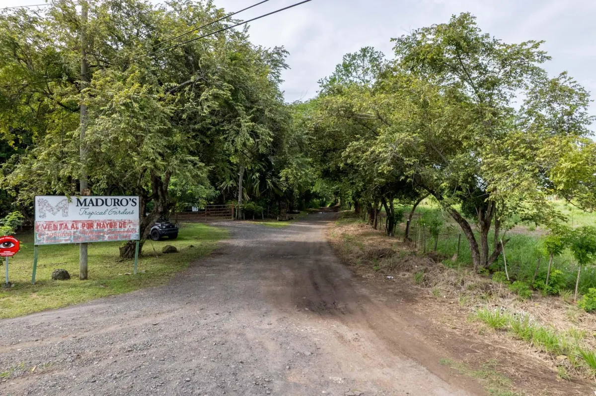 Prime Homesite Lot For Sale in Bejuco Chame Panama
