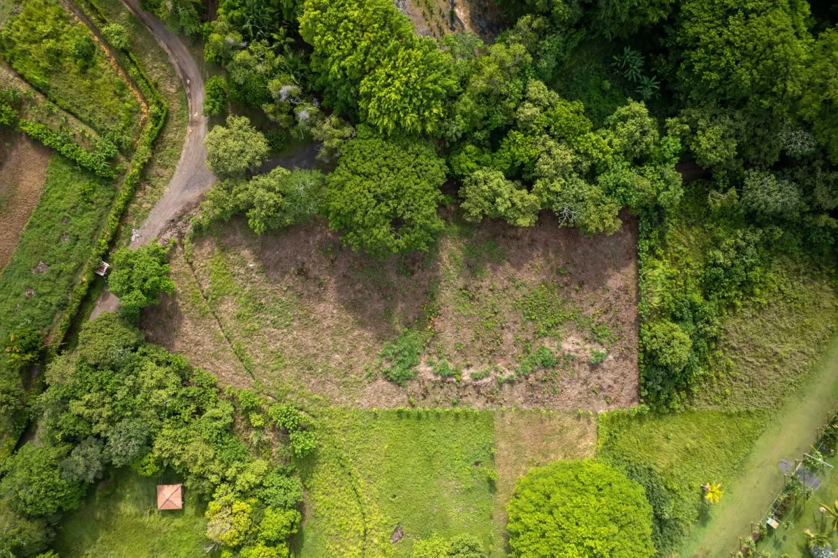 Prime Homesite Lot For Sale in Bejuco Chame Panama
