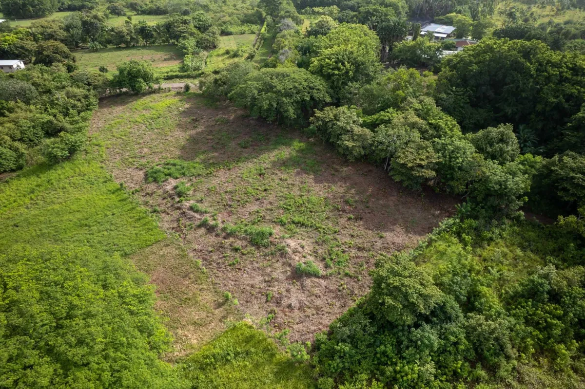 Prime Homesite Lot For Sale in Bejuco Chame Panama