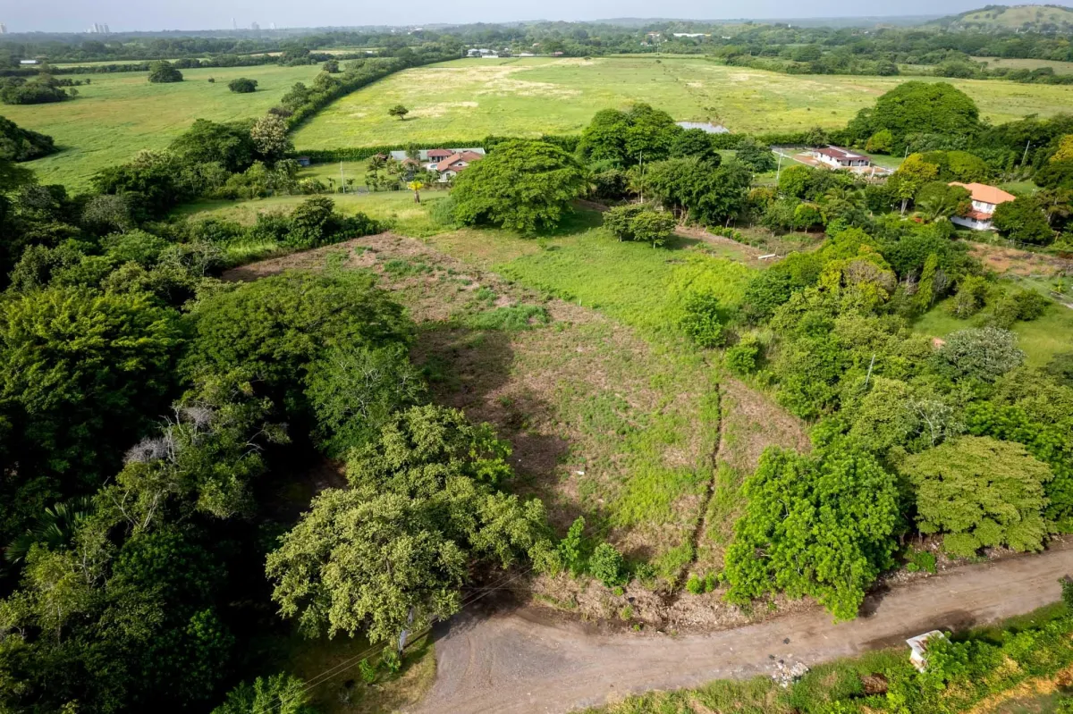 Prime Homesite Lot For Sale in Bejuco Chame Panama