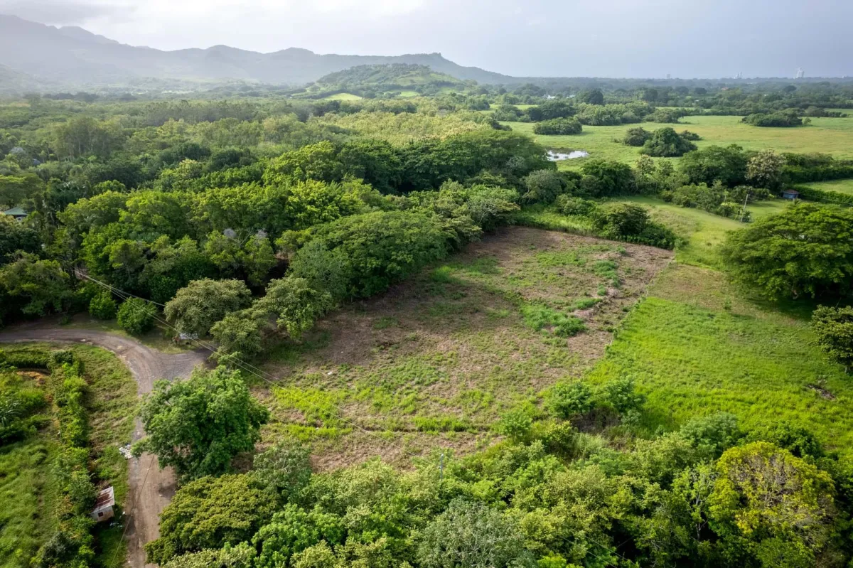 Prime Homesite Lot For Sale in Bejuco Chame Panama