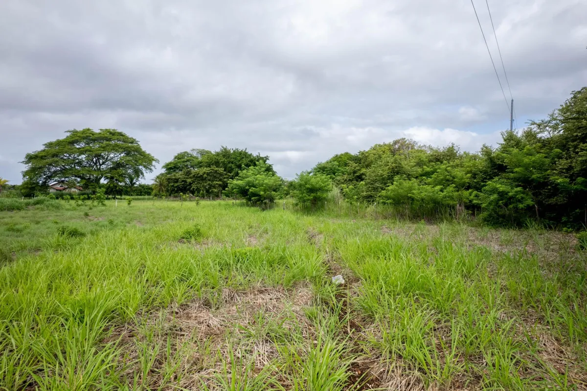 Prime Homesite Lot For Sale in Bejuco Chame Panama