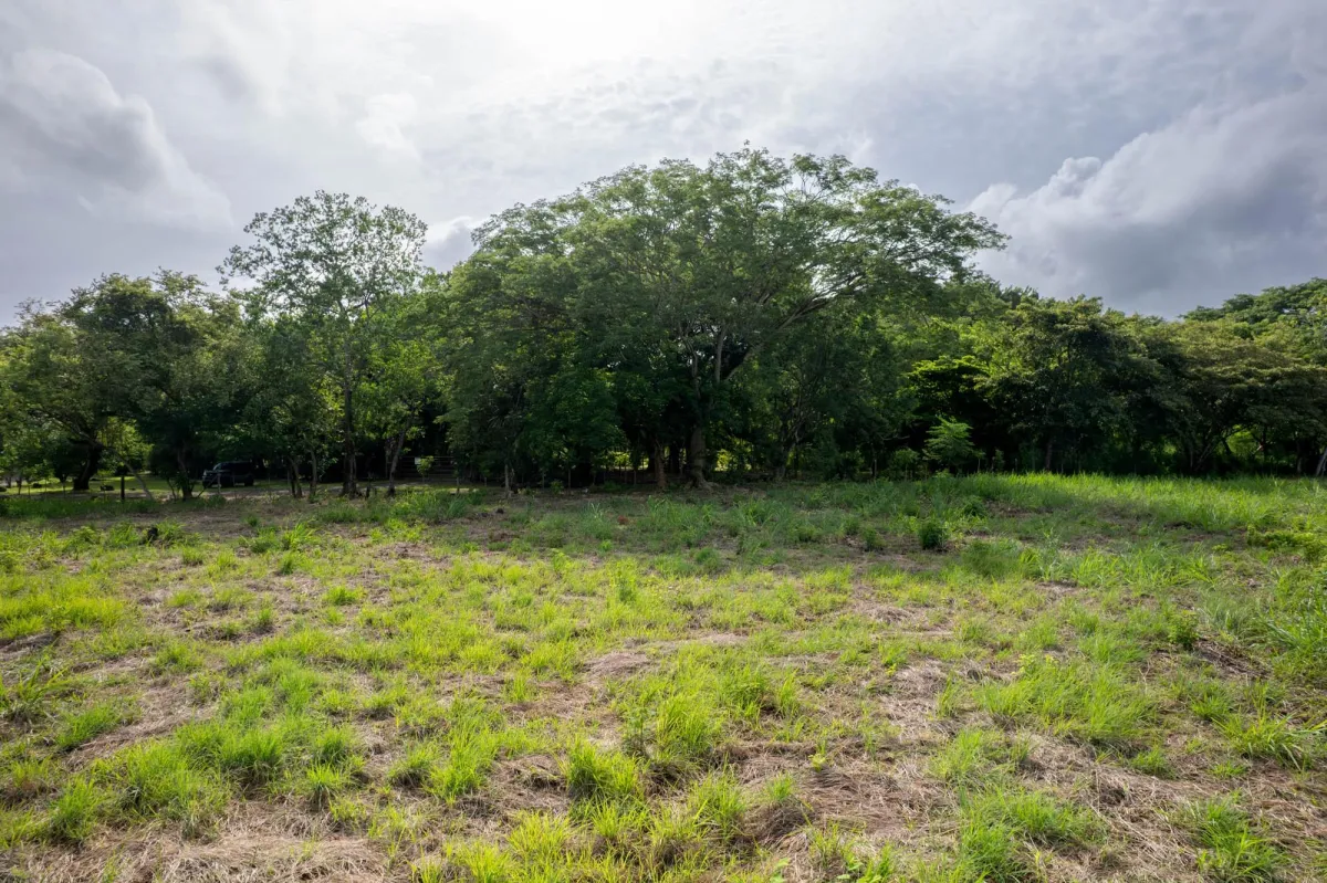 Prime Homesite Lot For Sale in Bejuco Chame Panama