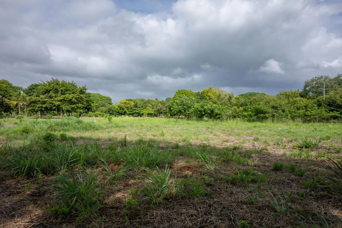 Prime Homesite Lot For Sale in Bejuco Chame Panama