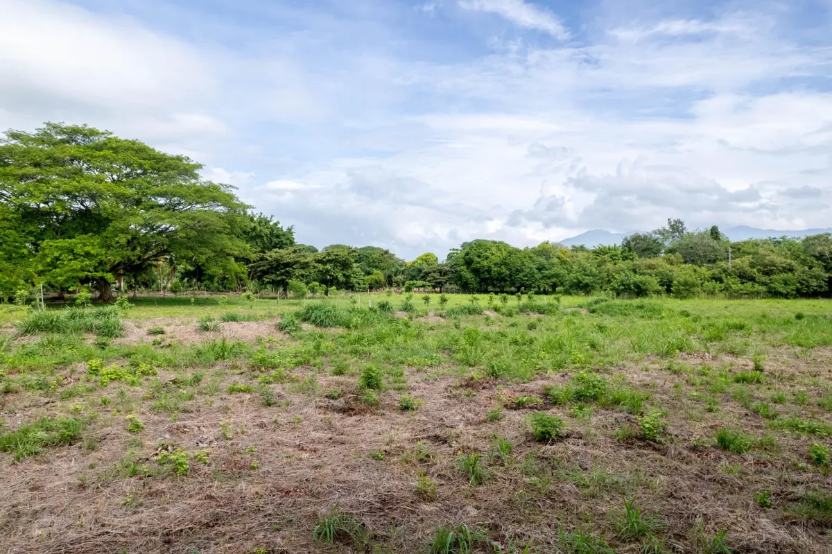 Prime Homesite Lot For Sale in Bejuco Chame Panama