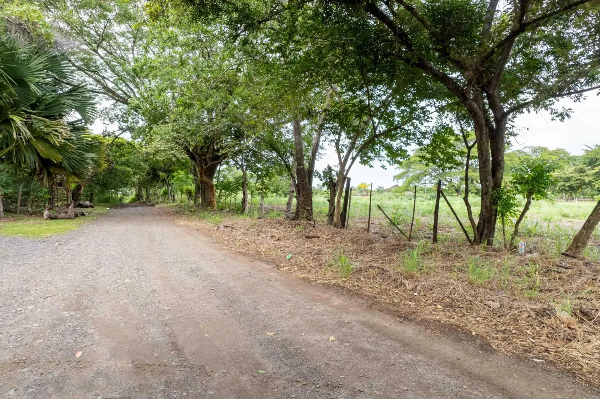 Prime Homesite Lot For Sale in Bejuco Chame Panama