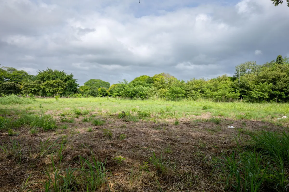 Lote en Venta en Bejuco Chame Panamá Oeste