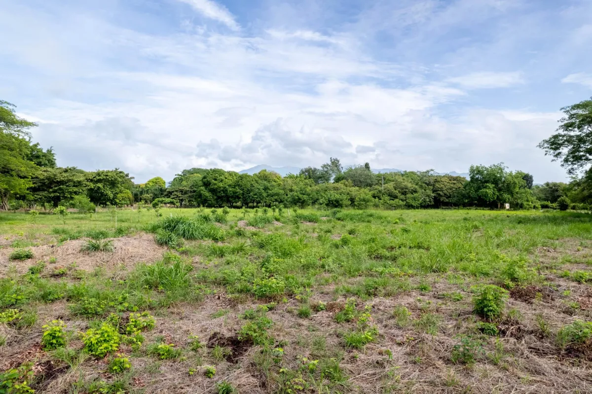 Lote en Venta en Bejuco Chame Panamá Oeste