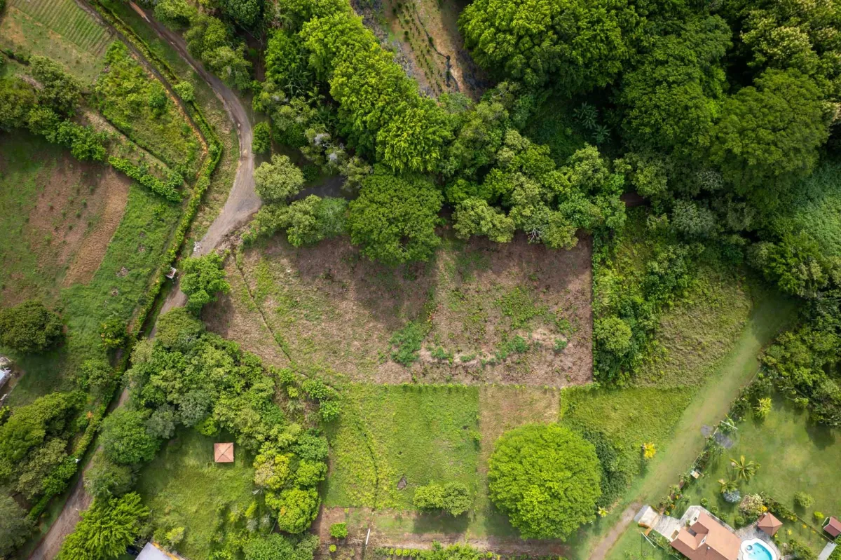 Flat Lot For Sale in Bejuco Chame Panama