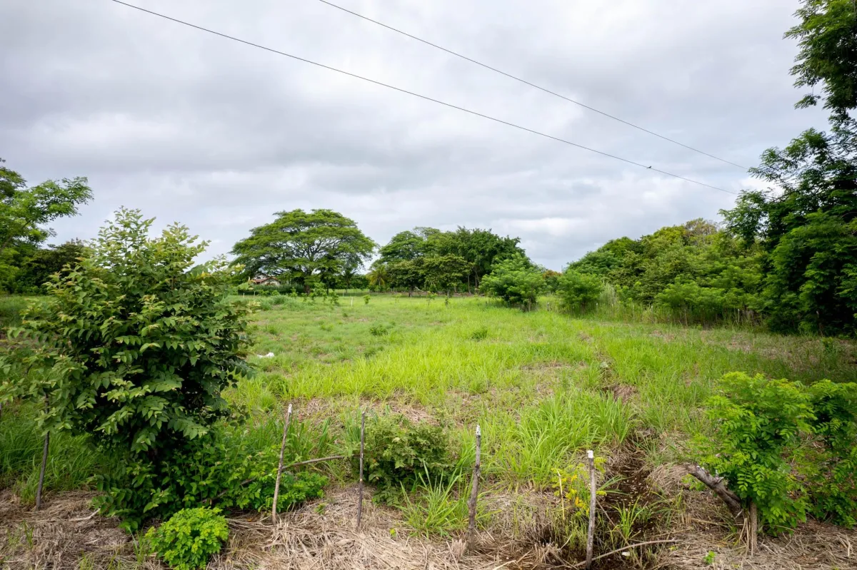 Flat Lot For Sale in Bejuco Chame Panama