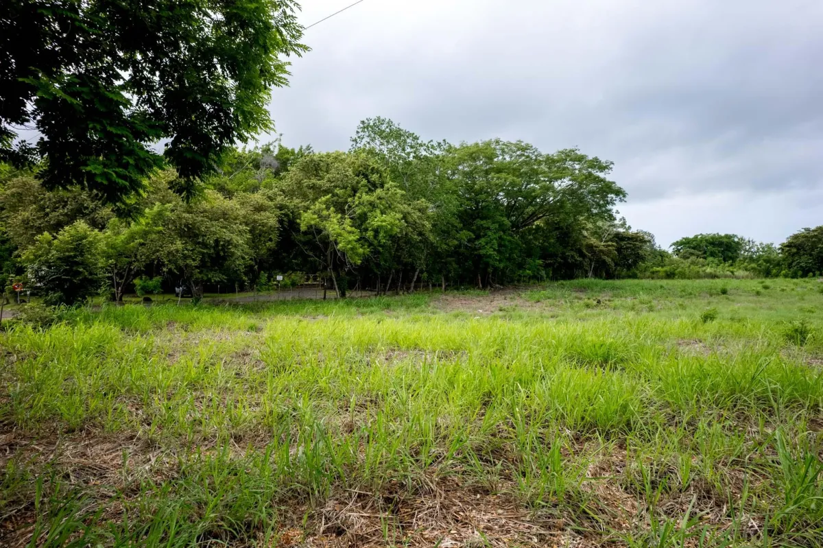 Flat Lot For Sale in Bejuco Chame Panama
