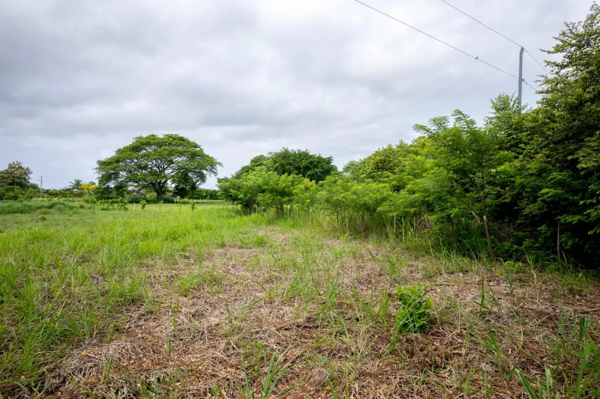 Flat Lot For Sale in Bejuco Chame Panama