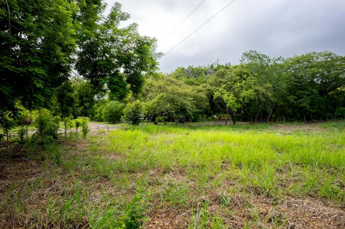 Flat Lot For Sale in Bejuco Chame Panama