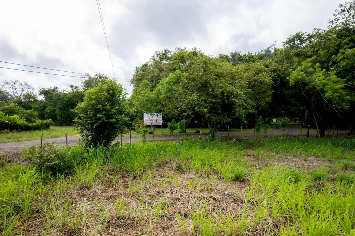 Flat Lot For Sale in Bejuco Chame Panama