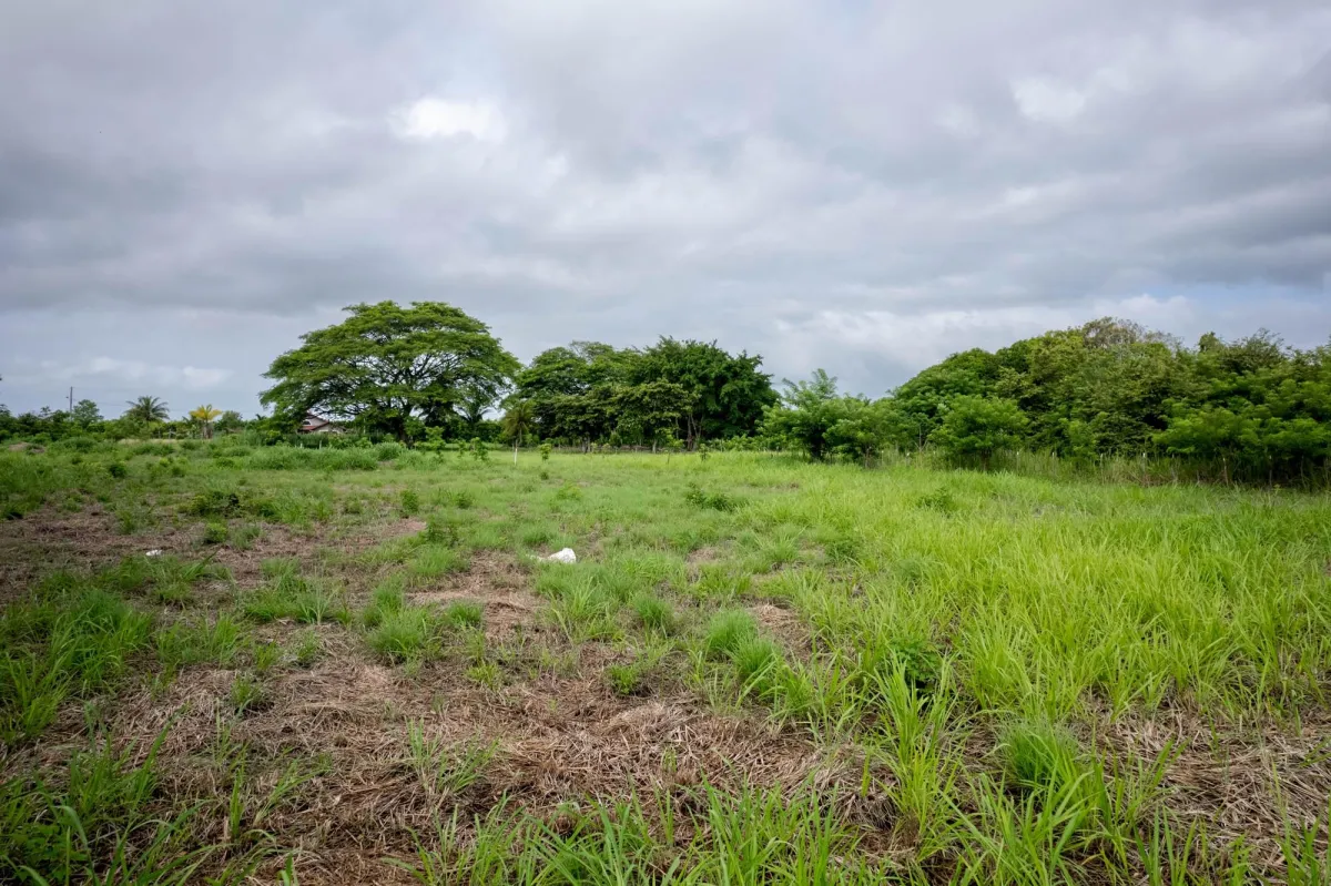 Flat Lot For Sale in Bejuco Chame Panama