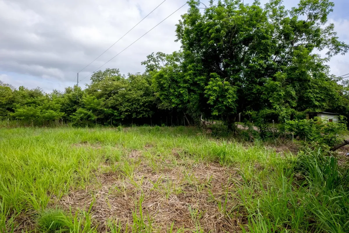Flat Lot For Sale in Bejuco Chame Panama