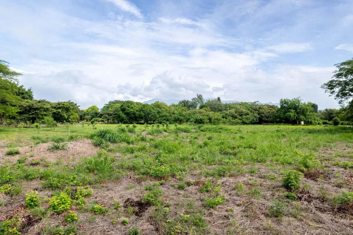 Flat Lot For Sale in Bejuco Chame Panama
