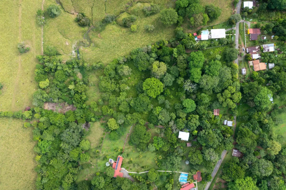 5 Flat Acres For Sale in Las Lajas Chiriqui