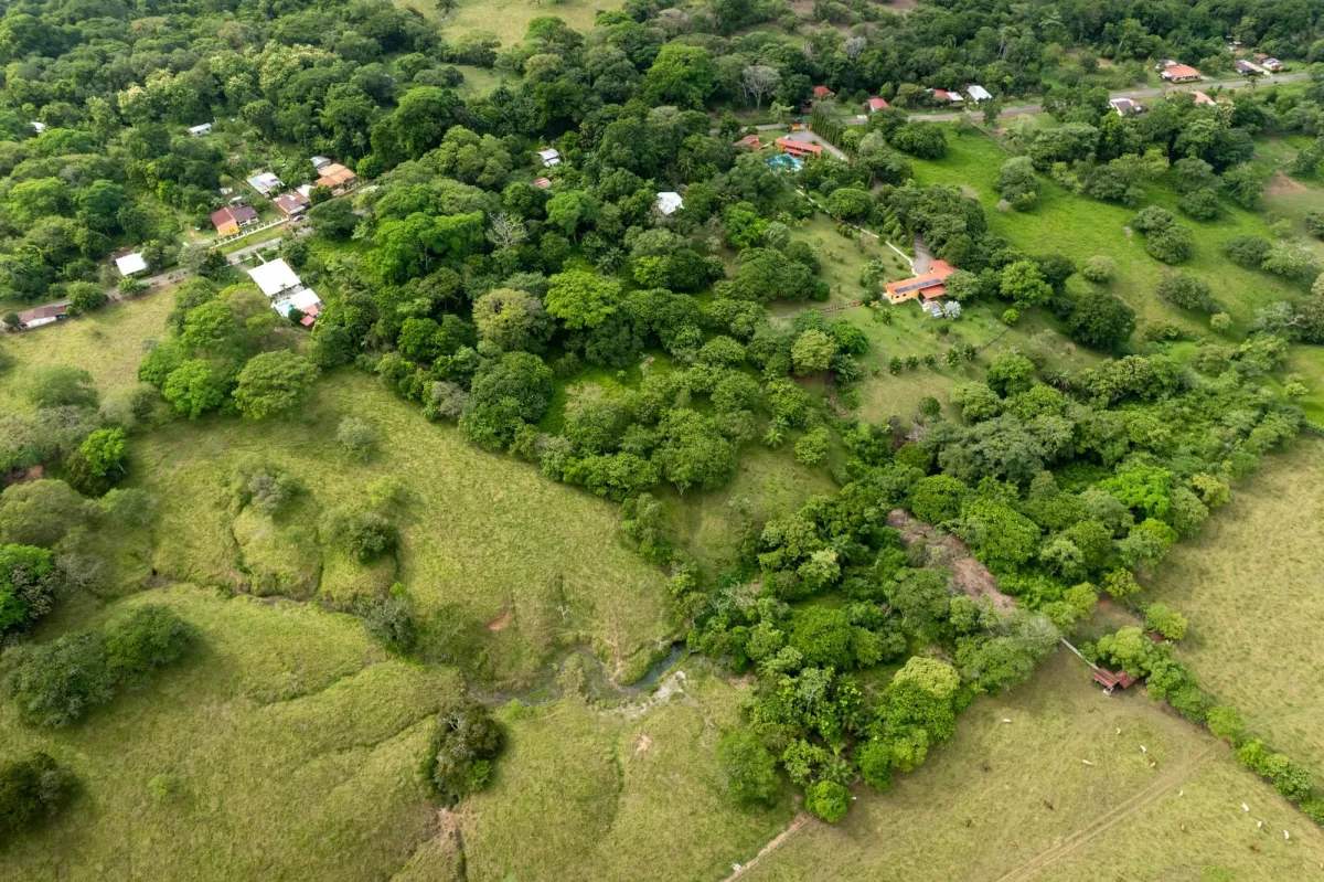 5 Flat Acres For Sale in Las Lajas Chiriqui