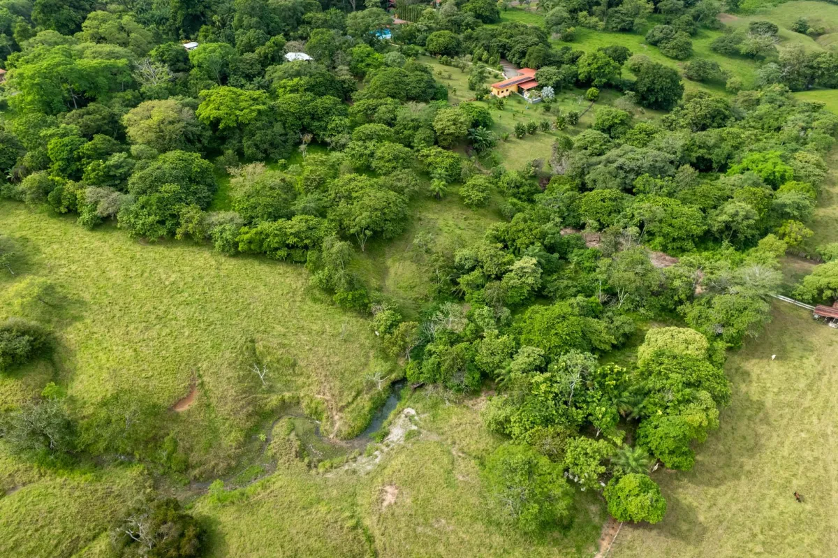 5 Flat Acres For Sale in Las Lajas Chiriqui