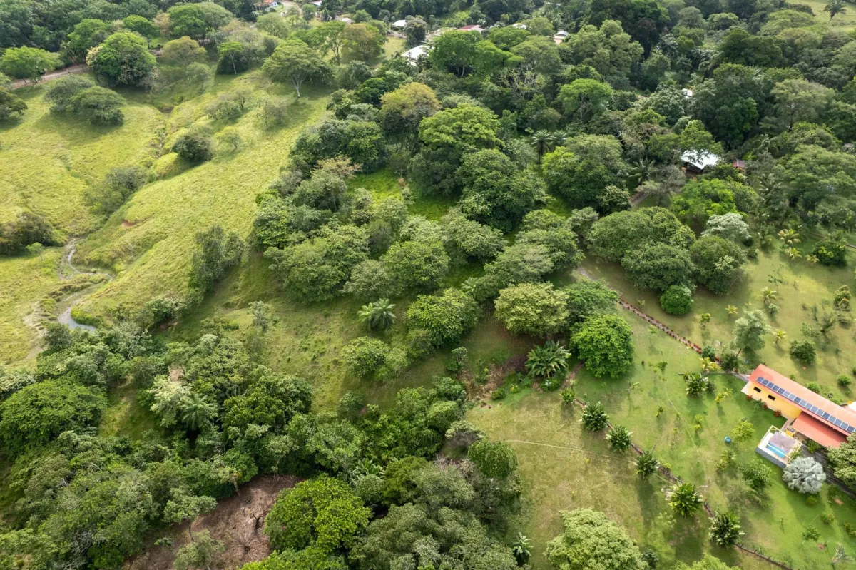 5 Flat Acres For Sale in Las Lajas Chiriqui