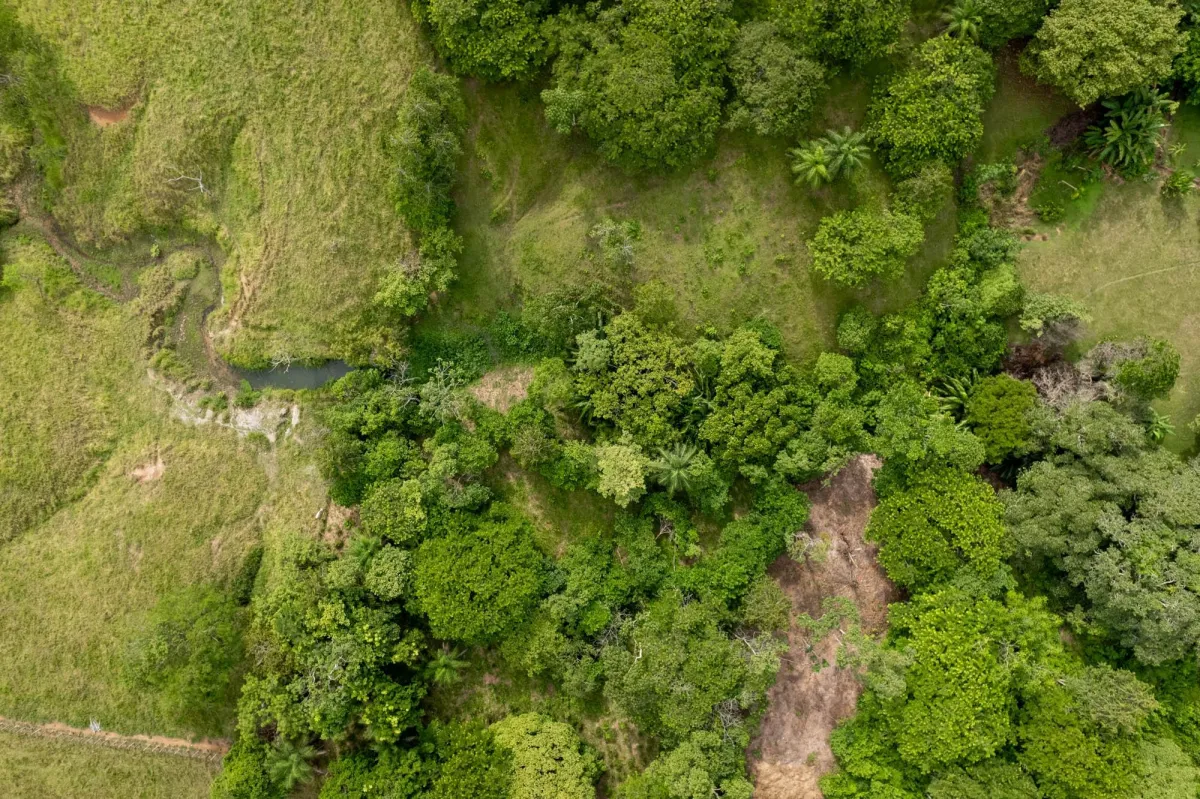 5 Flat Acres For Sale in Las Lajas Chiriqui