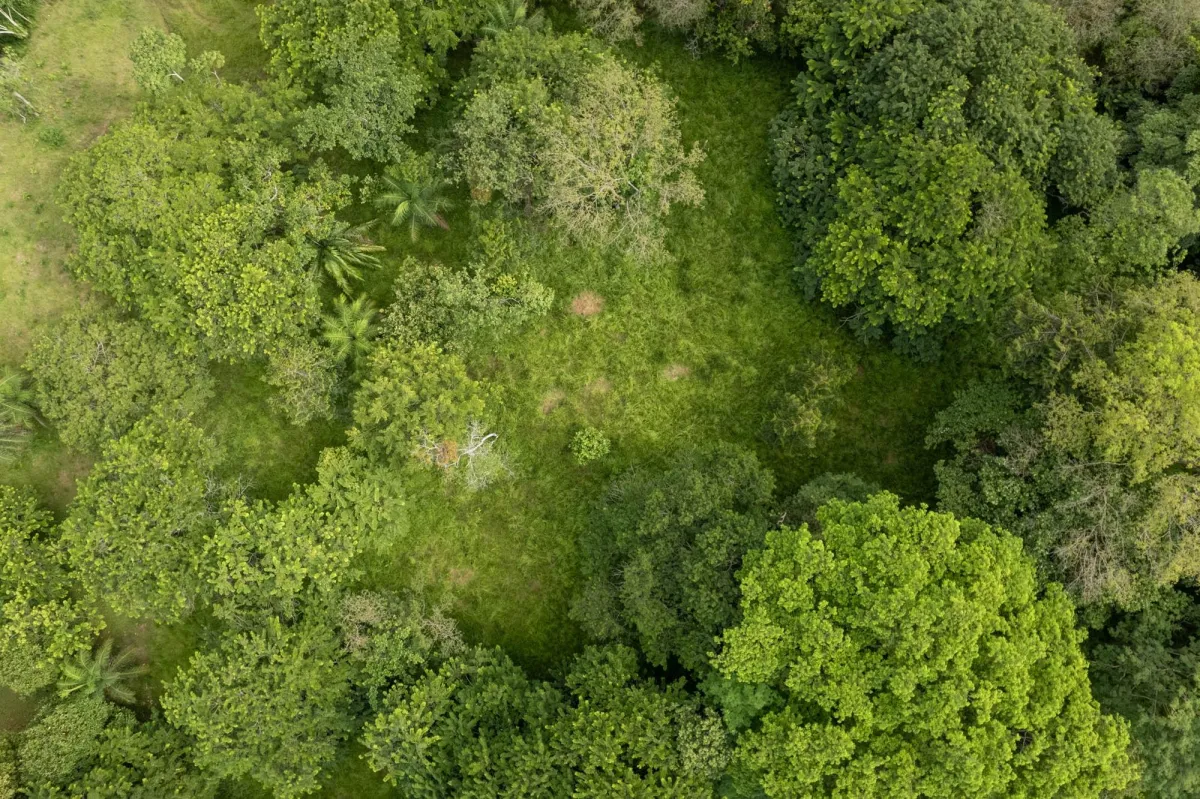 5 Flat Acres For Sale in Las Lajas Chiriqui