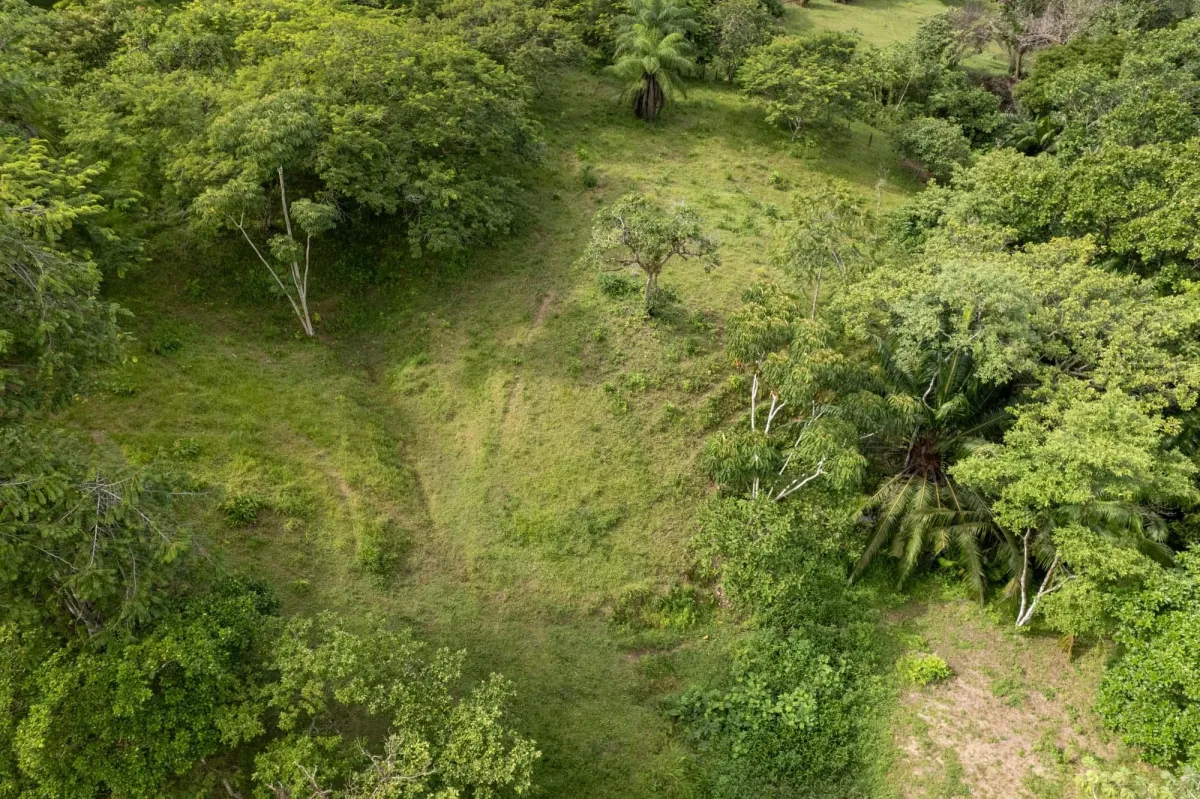 5 Flat Acres For Sale in Las Lajas Chiriqui