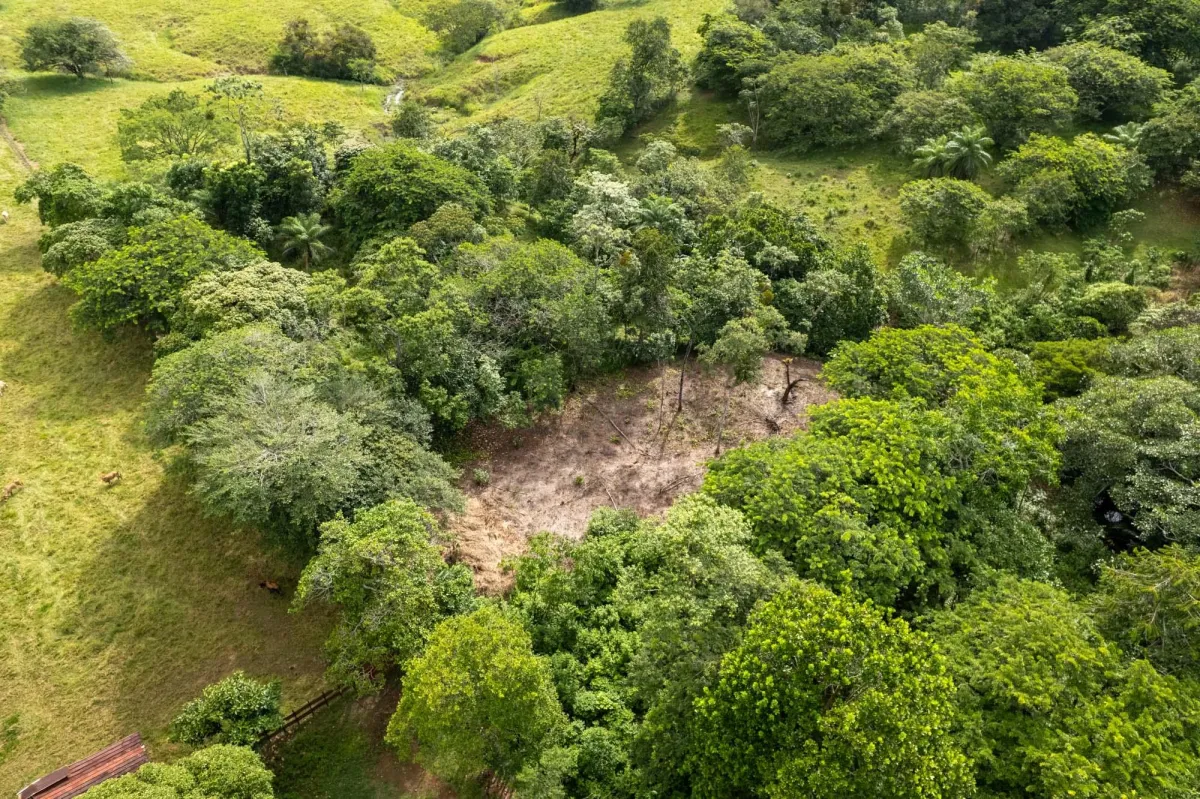 5 Flat Acres For Sale in Las Lajas Chiriqui