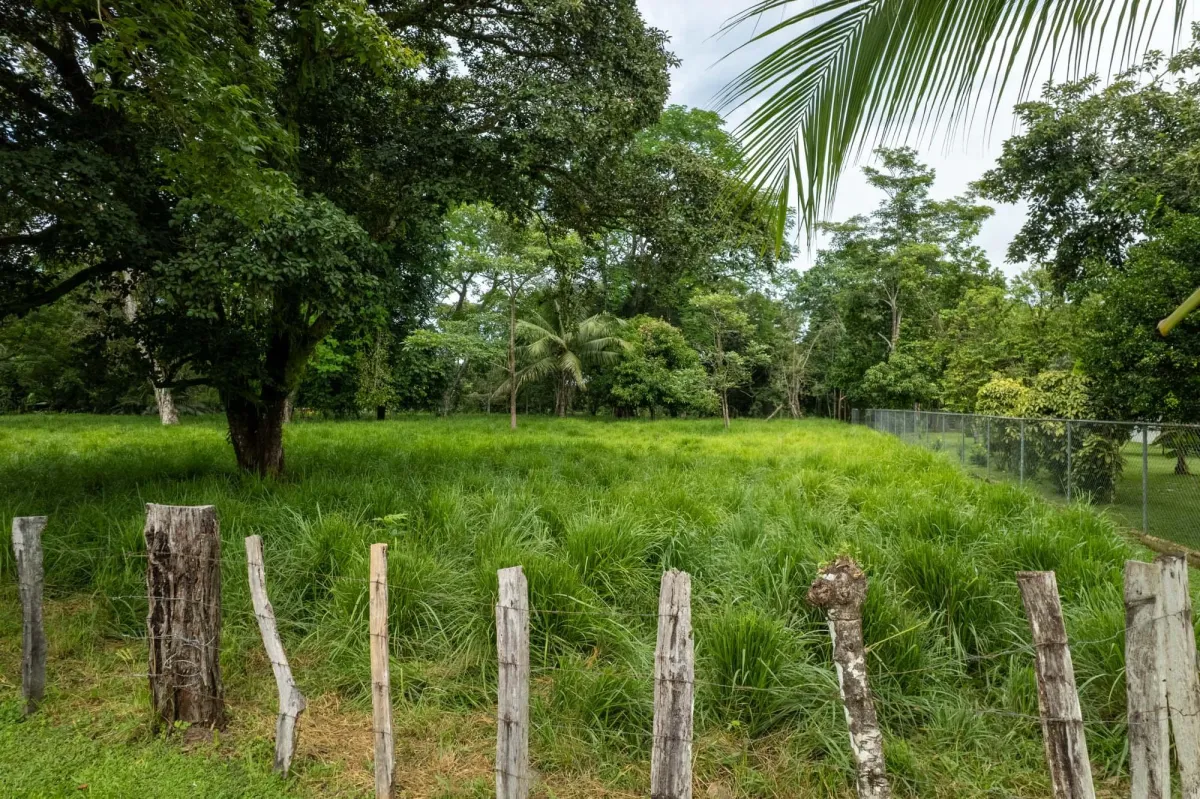 5 Flat Acres For Sale in Las Lajas Chiriqui