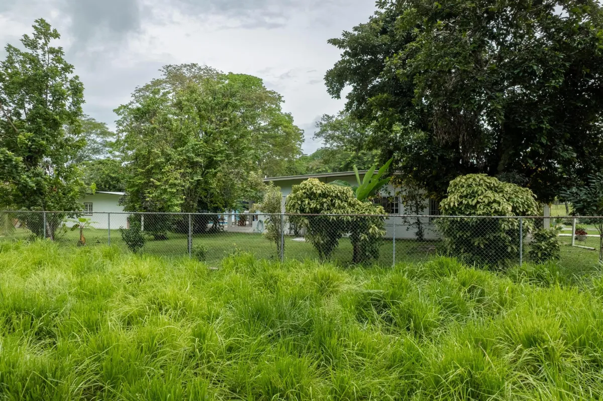 5 Flat Acres For Sale in Las Lajas Chiriqui