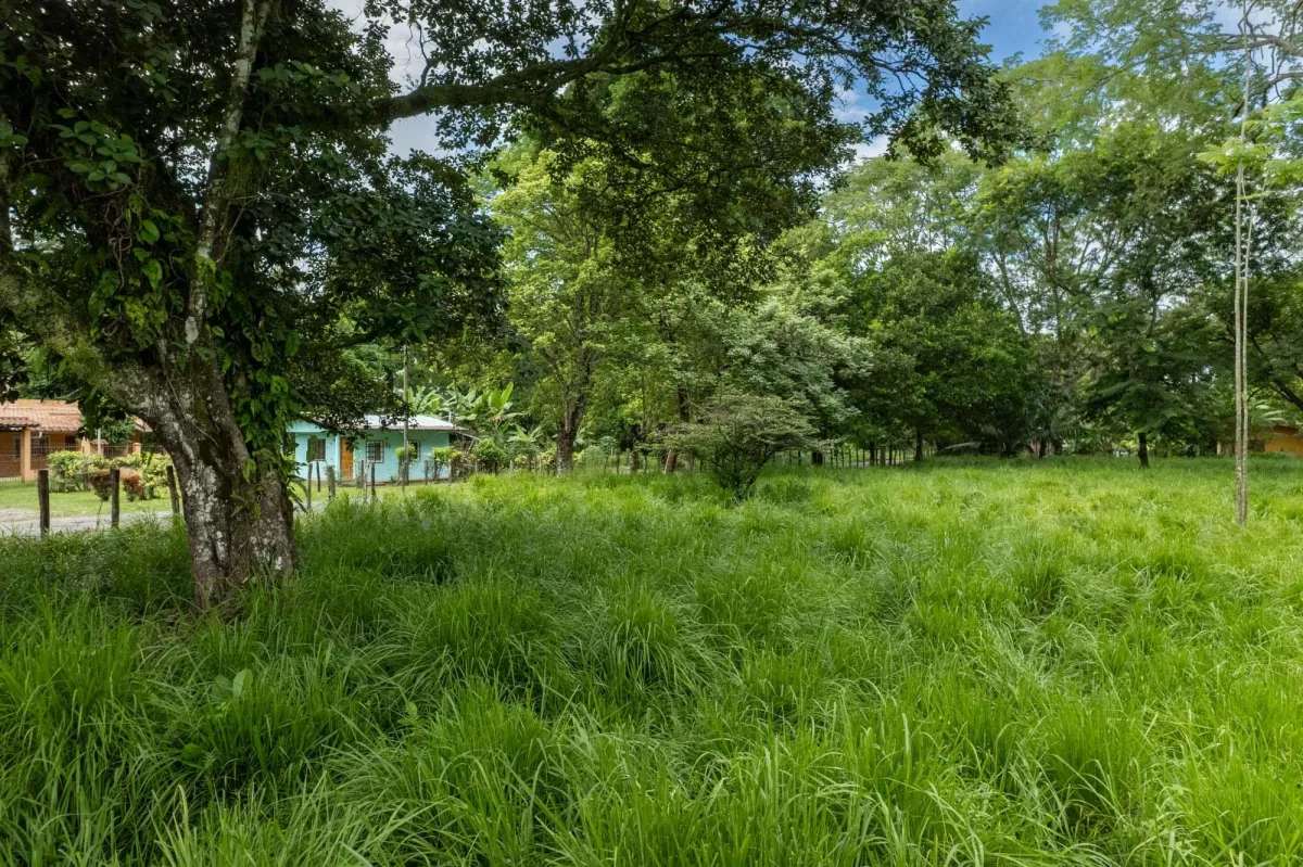 5 Flat Acres For Sale in Las Lajas Chiriqui