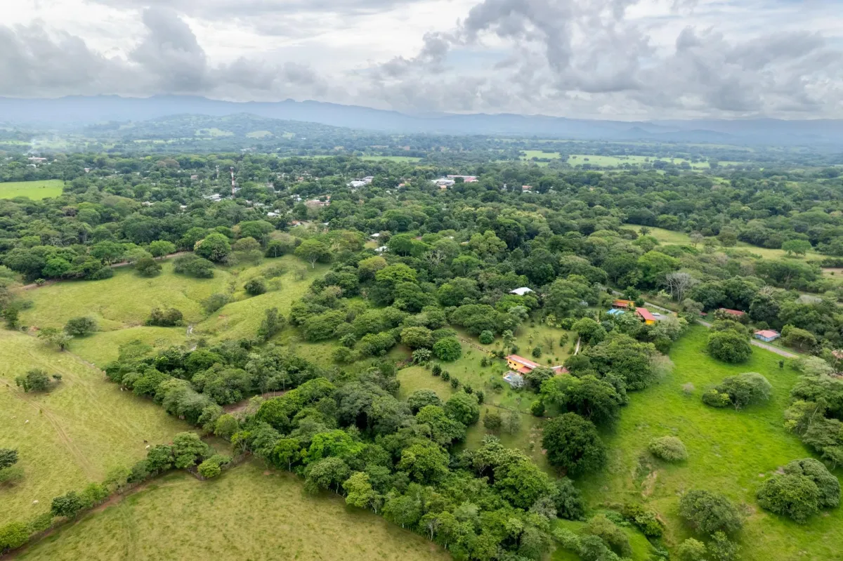 5 Flat Acres For Sale in Las Lajas Chiriqui
