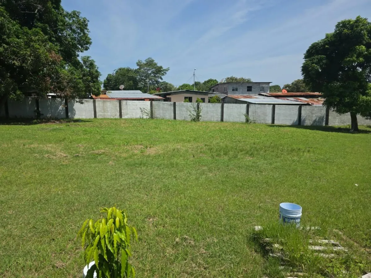 INVEST IN SAN CARLOS | LOT FOR $54,900
