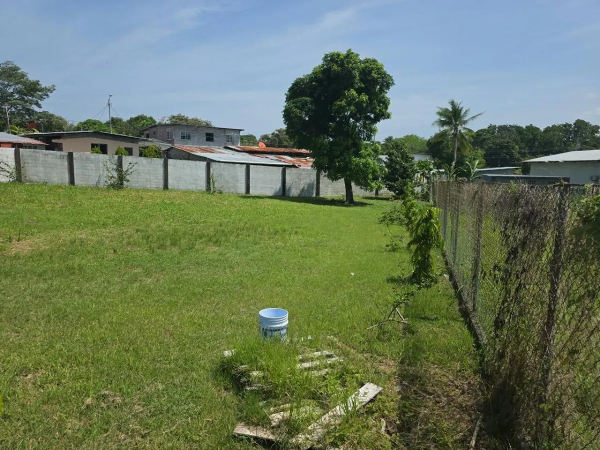 INVEST IN SAN CARLOS | LOT FOR $54,900
