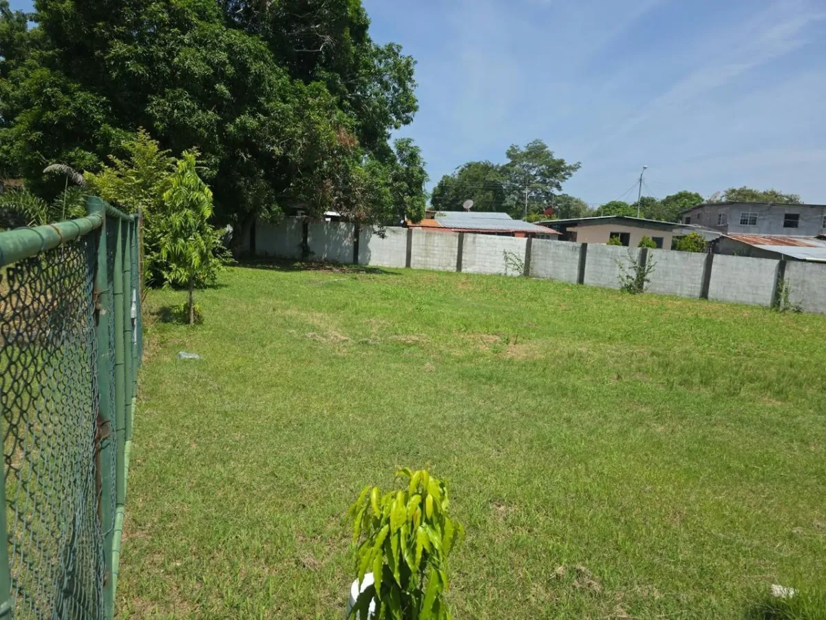 INVEST IN SAN CARLOS | LOT FOR $54,900