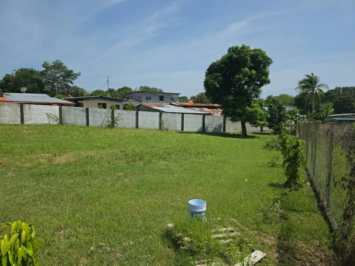INVEST IN SAN CARLOS | LOT FOR $54,900