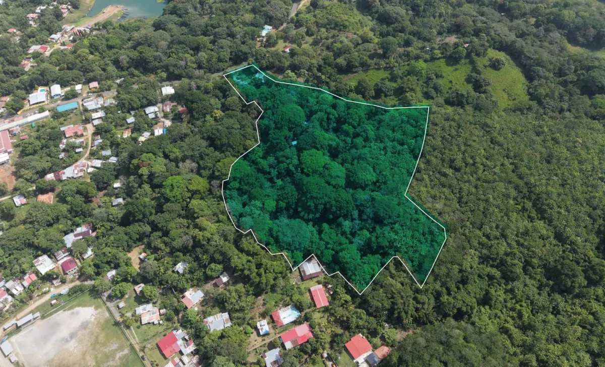 Venta de Terreno en San Juan Colón