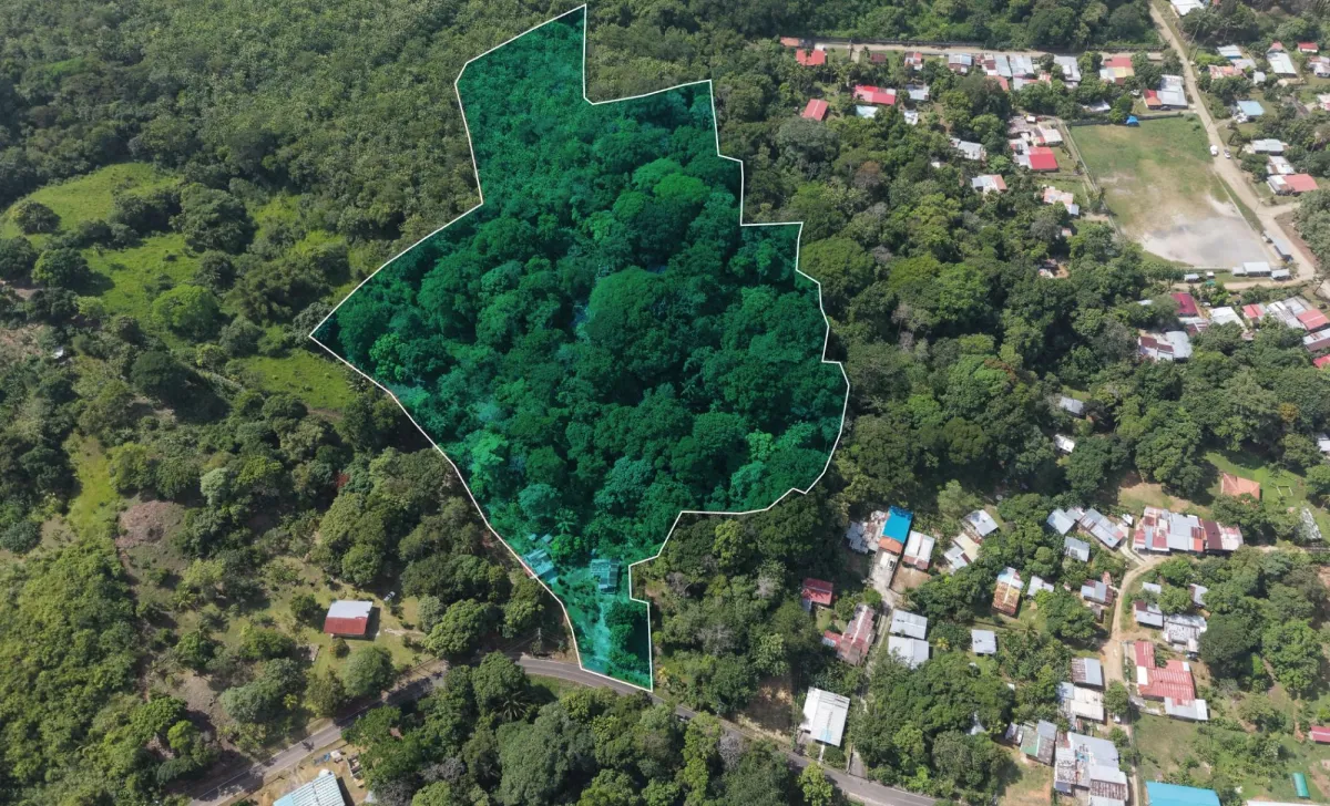 Venta de Terreno en San Juan Colón