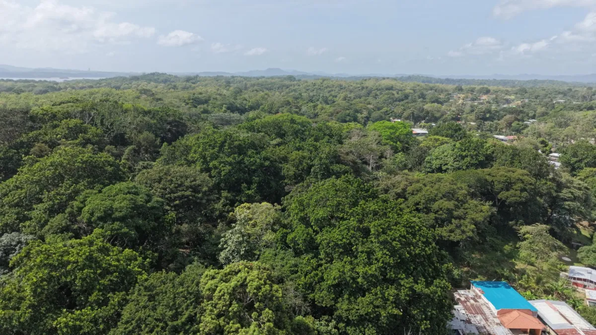 Venta de Terreno en San Juan Colón