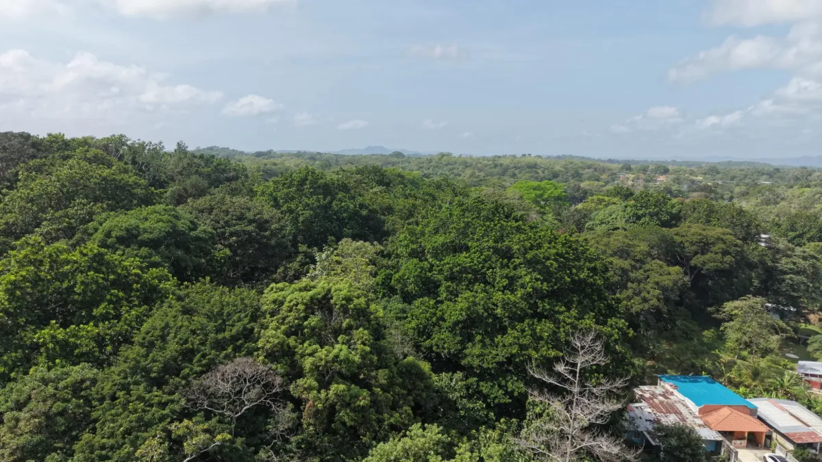 Venta de Terreno en San Juan Colón