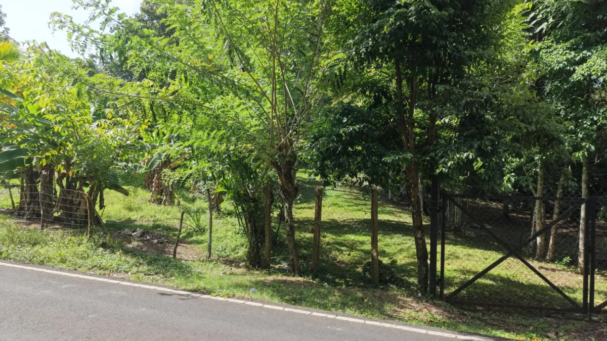 Venta de Terreno en San Juan Colón