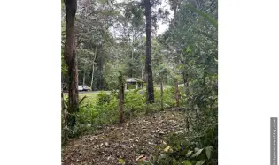Se vende Finca en El Cacao, Capira, Panamá Oeste
