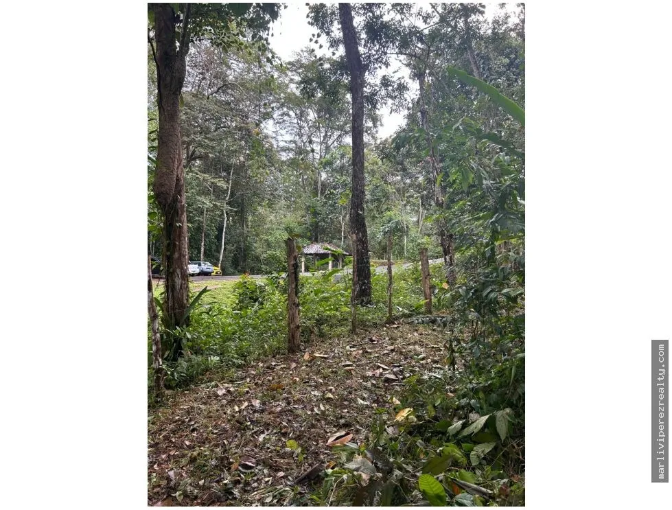 Se vende Finca en El Cacao, Capira, Panamá Oeste