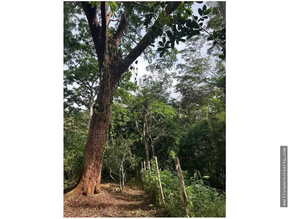 Se vende Finca en El Cacao, Capira, Panamá Oeste