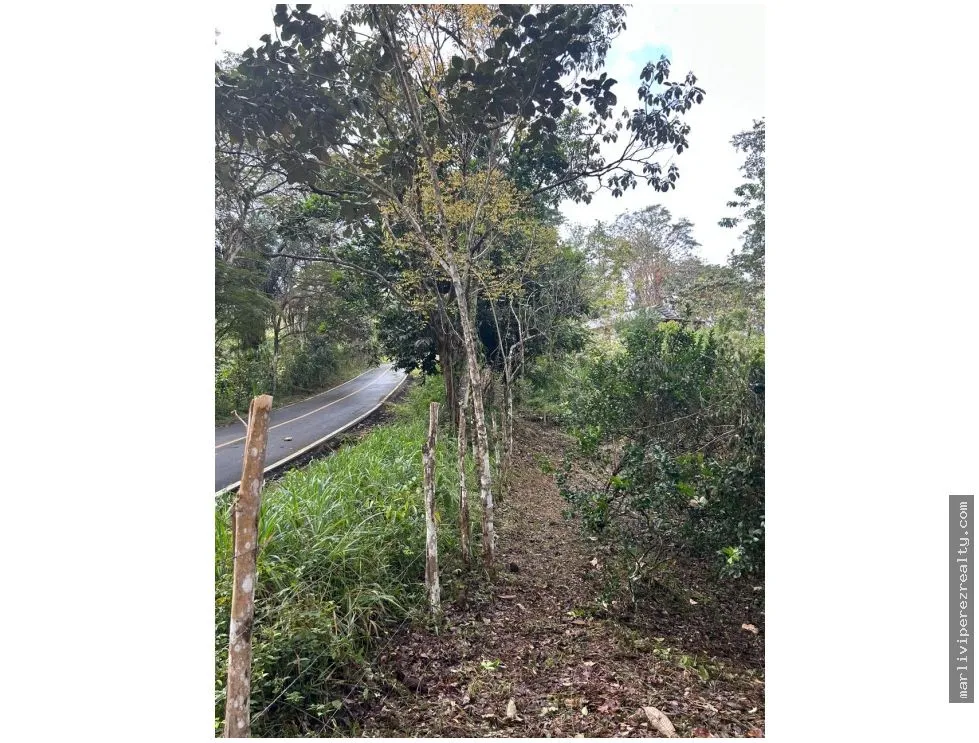 Se vende Finca en El Cacao, Capira, Panamá Oeste