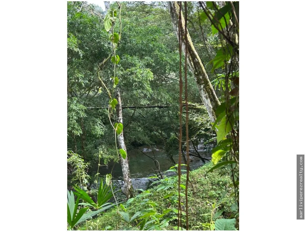 Se vende Finca en El Cacao, Capira, Panamá Oeste