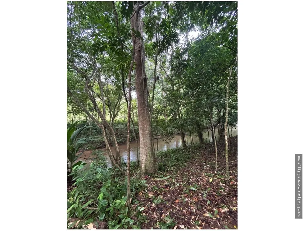 Se vende Finca en El Cacao, Capira, Panamá Oeste